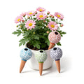 4-Pack Terracotta self-Watering Stakes for Indoor Plants | Watering the plants in a healthier way: Watering plants