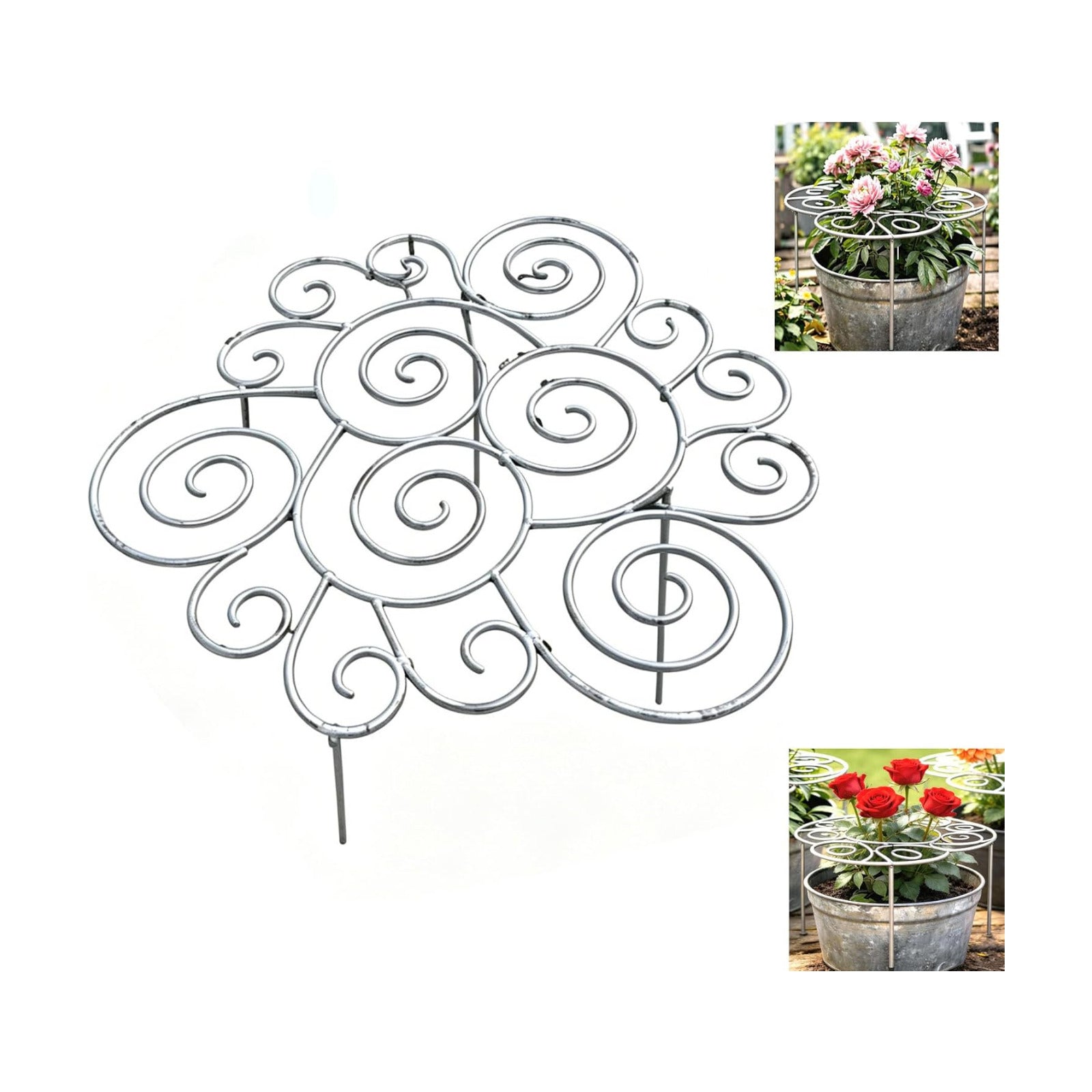Plant Support Ring for Most Plants – Heavy Duty Metal Cage for Flowers, Vegetables, Tomatoes, Peonies, Roses – Garden