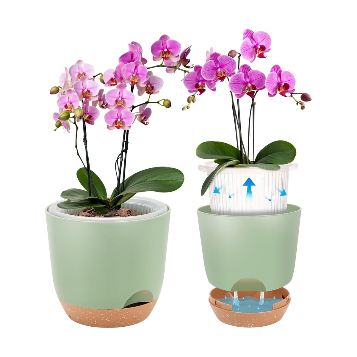 3Packs Self Watering Orchid Pots for Indoor Plants,5.8 Inch Macetas para Orqudeas,Flower Pots for Indoor Plants with Holes(Green)