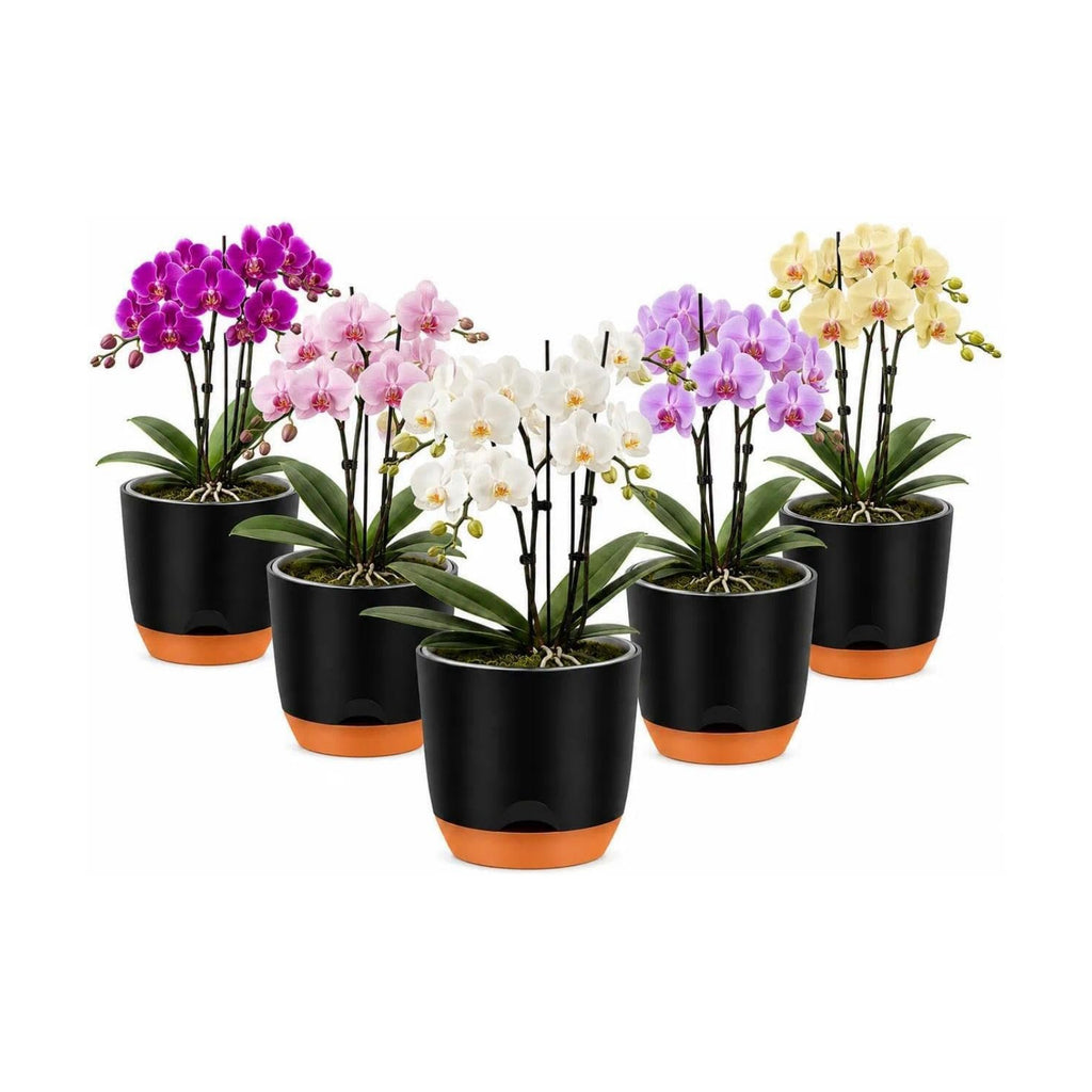QCQHDU 5.7Inch Orchid Pots with Holes for Repotting, Double-Layer Plastic Self Watering Flower Pots for Indoor Plants