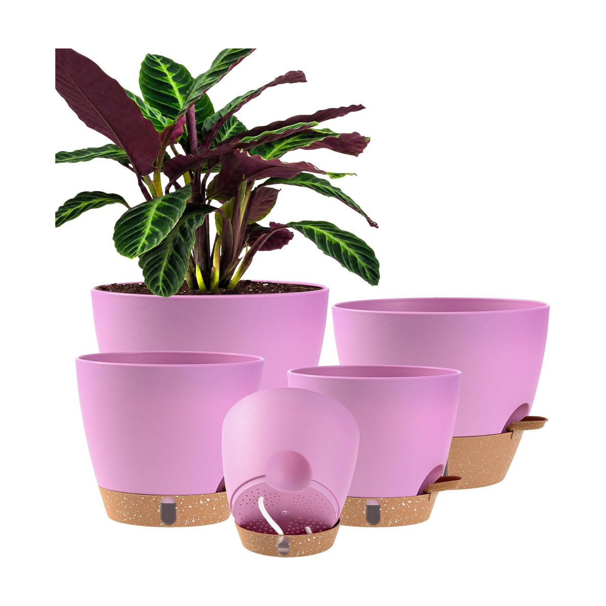 Self Watering Pots for Inoor Ourdoor Plants 10/9/8/7/6.5 Inch, 5 Pack