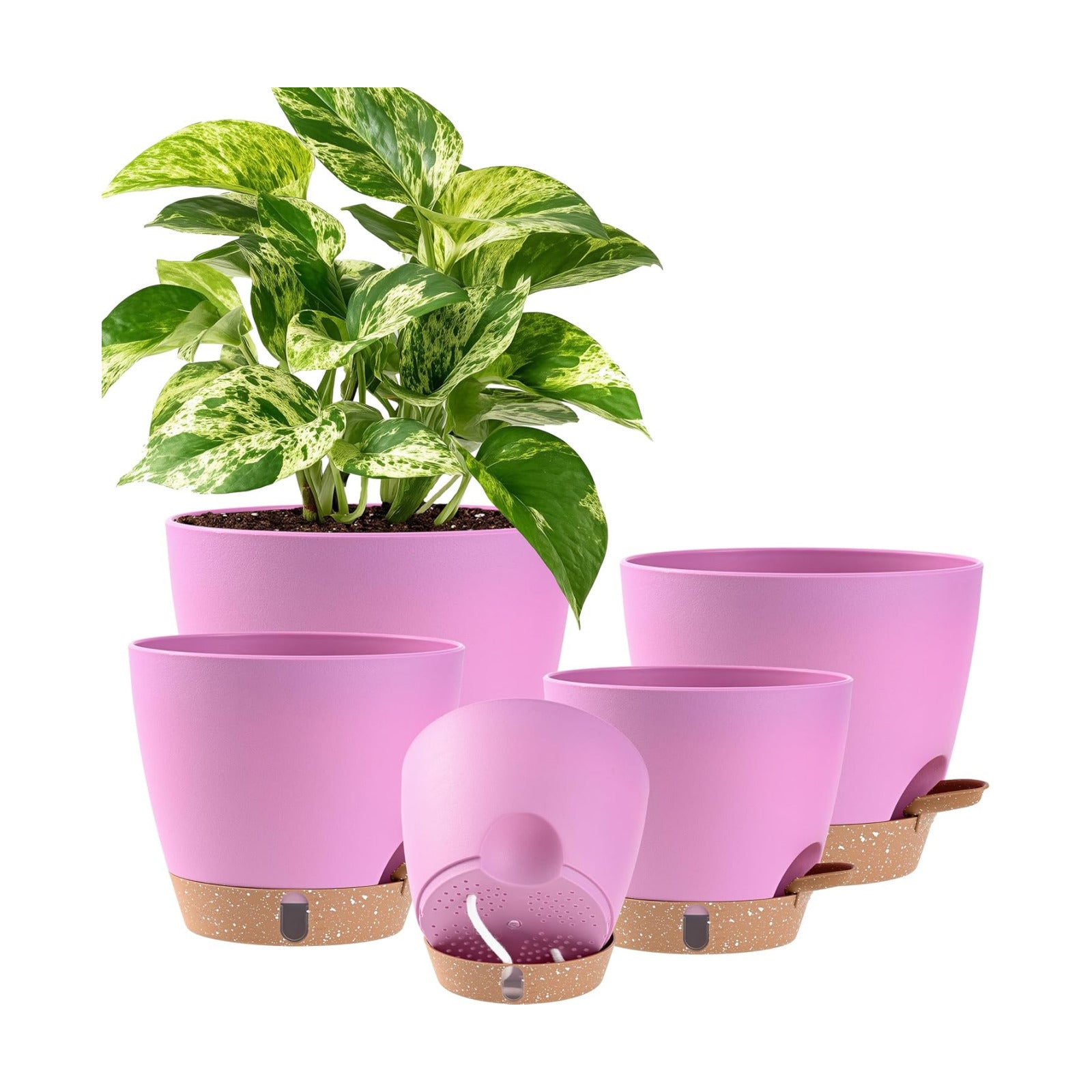 Self Watering Pots for Inoor Ourdoor Plants 8/7/6.5/6/5 Inch, 5 Pack | Plastic Planters with Drainage Holes & Water