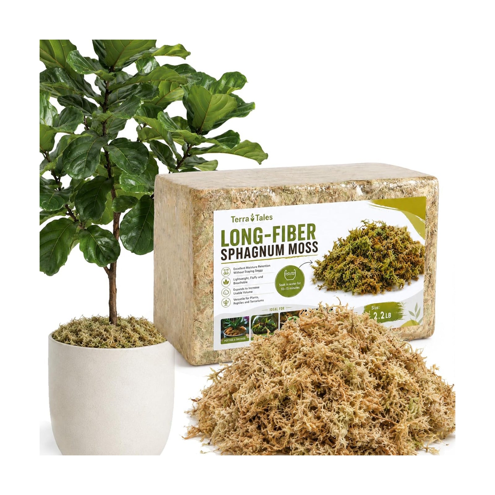 2.2LB Natural Long Fiber Sphagnum Moss Compressed Brick Expands to 60QT, Premium Orchid Moss for Repotting, Carnivorous