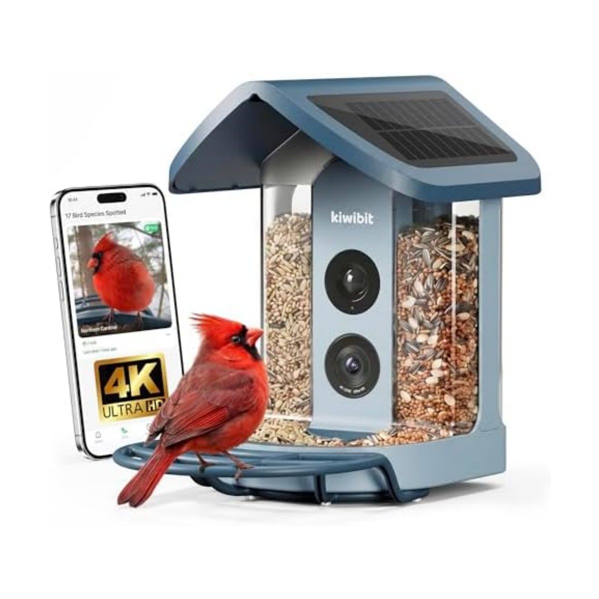 Kiwibit Solar Smart Bird Feeder with Camera, 4K HDR Live Video, AI Bird ID