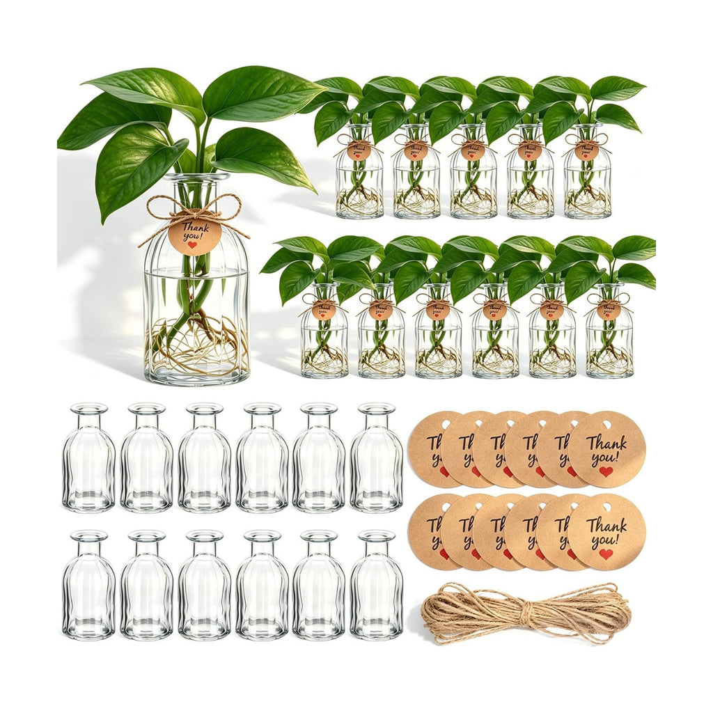12 Pack Propagation Vases for Plants Small Glass Vase for Flower | 5.71'' Glass Plant Propagation Stations, Clear
