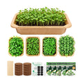 Microgreens Growing Kit Indoor Garden - Complete Micro Greens Growing Kits with 5 Seed Packs - Grow Broccoli, Arugula