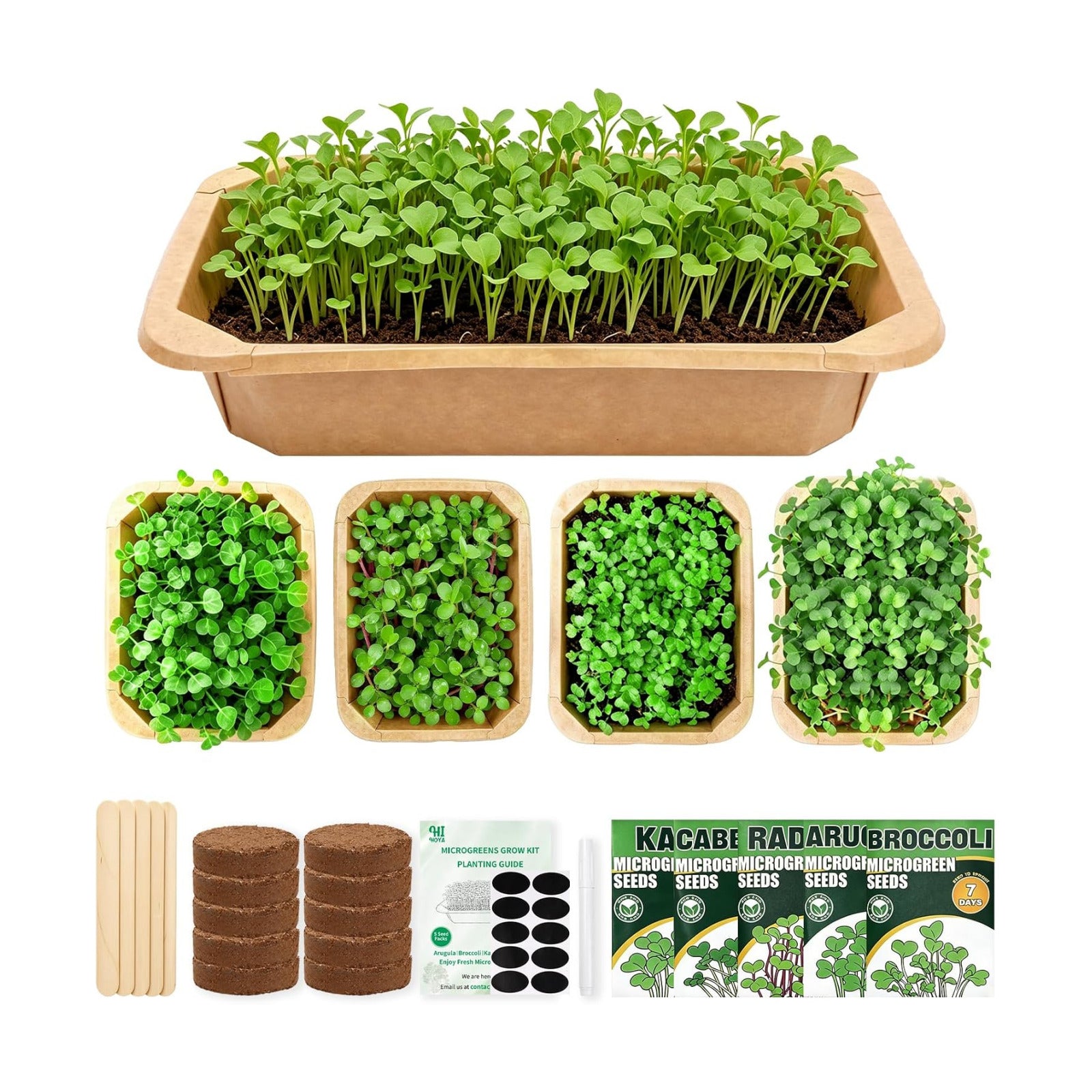Microgreens Growing Kit Indoor Garden - Complete Micro Greens Growing Kits with 5 Seed Packs - Grow Broccoli, Arugula