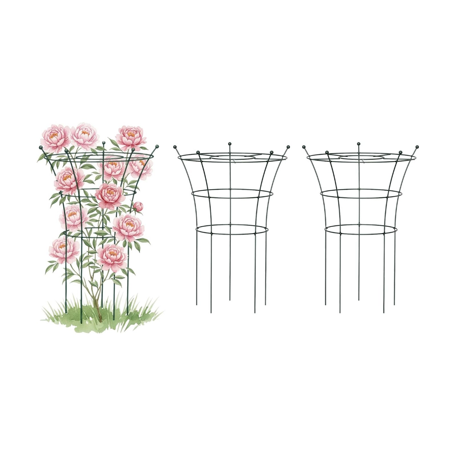 Peony Cages and Supports 2 Pack, Heavy Duty Metal Flower Support Cage, 24"(W) x 36" (H) Trumpet Plant Support for