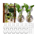 12 Pack Window Propagation Stations Plastic Wall Hanging Planter with Suction Cups Brush Window Suction Plant Holder