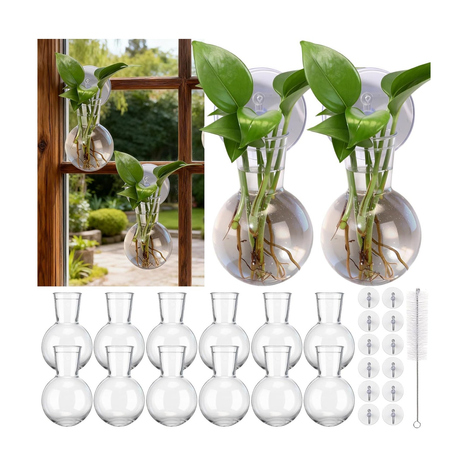 12 Pack Window Propagation Stations Plastic Wall Hanging Planter with Suction Cups Brush Window Suction Plant Holder
