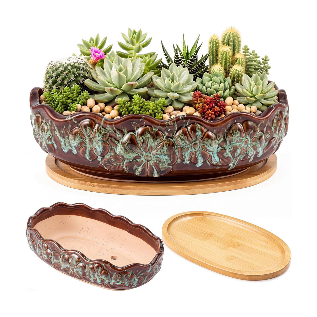 11 Inch Oval Ceramic Shallow Succulent Planter with Tray, Blue and Brown