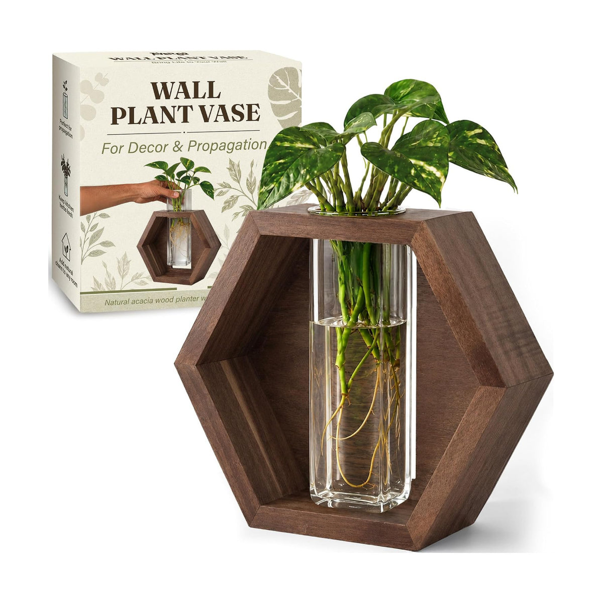 AVERGO Wall Plant Decor (1-Pack), Acacia Wood Indoor Wall Planter