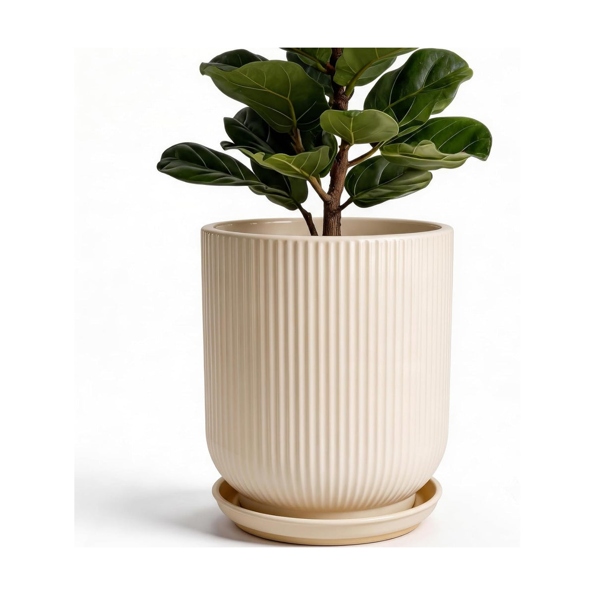 Deep Dream 10 Inch Ceramic Pots for Plants, Heavy Plant Pot for Indoor Outdoor Plants, Large Plant Pot with Drainage Hole and Saucer, Modern Tall Flower Pot, Gifts for Plant Lovers, Cream
