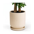 Deep Dream 12 Inch Ceramic Pots for Plants, Heavy Plant Pot for Indoor Outdoor Plants, Large Plant Pot with Drainage Hole and Saucer, Modern Tall Flower Pot, Gifts for Plant Lovers, Cream