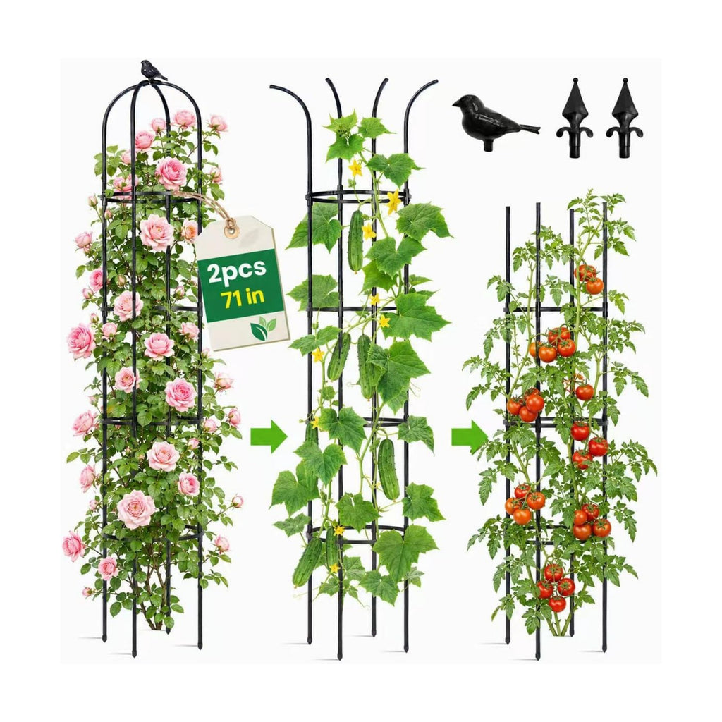 OTOSUNNY 2 Pack 6 ft Garden Obelisk Trellis for Climbing Plants Outdoor | 6 ft Tall Metal Garden Trellis for Roses