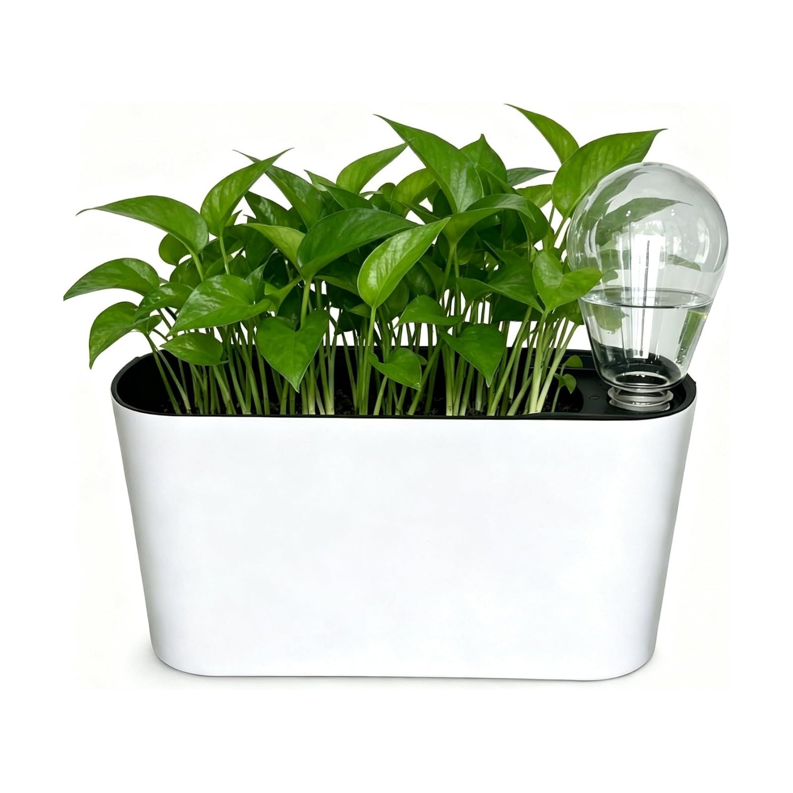 Self Watering Pots for Indoor Plants,12.5’’ Oval Planter with Lantern Type Water Storage Tank Level Indicators for