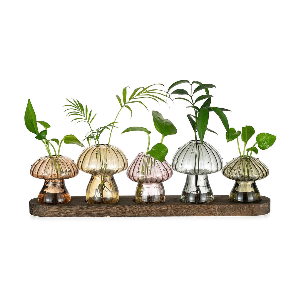 Hewory Plant Propagation Stations: 5PCS Amber Mushroom Vase with Wood Tray | Gifts for Plant Lovers, Mother