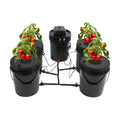 DWC Hydroponics Grow System 5.28 Gallon Deep Water Culture Kit with 12W 110V Air Pump, Five 12inch Buckets & Air Stones