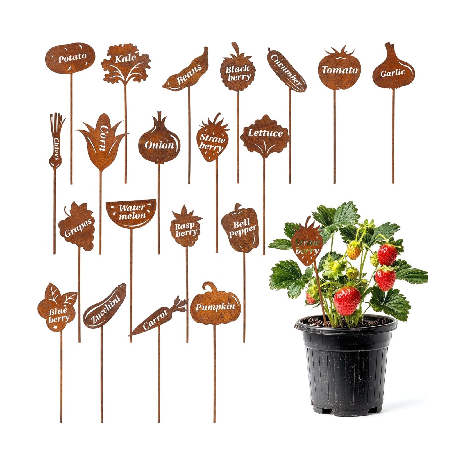 WATINC Vegetable Garden Labels Signs - 20pcs Plant Tags Outdoor Stakes | Rusty Tags with Plant Names, Fruit and
