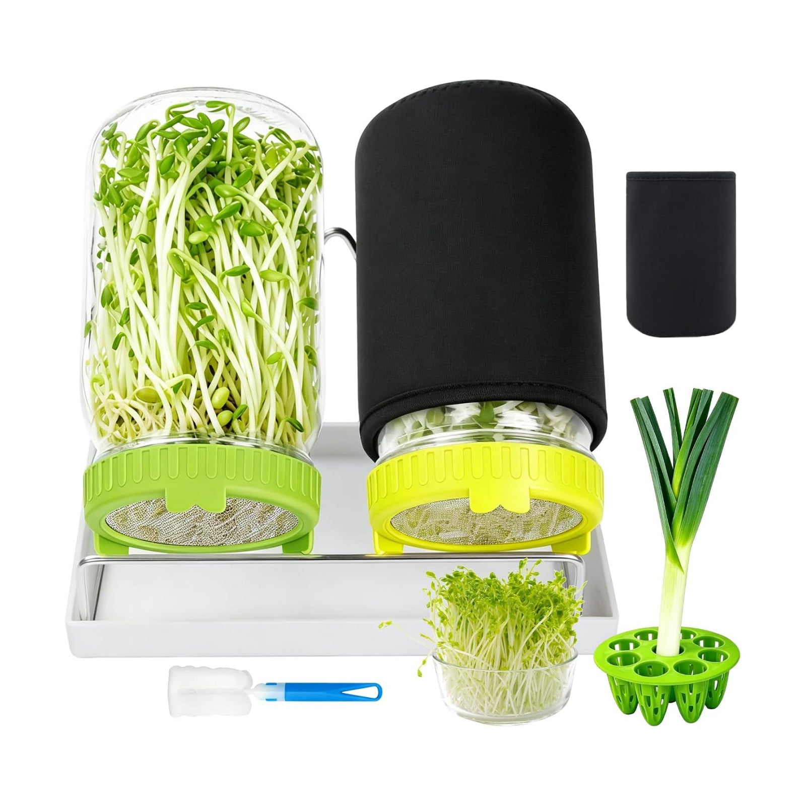 Seed Sprouting Kit, 2 Wide Mouth Mason Jars with Sprout Lids, Green Onion Regrower, Stainless Steel Stand, Drain Tray