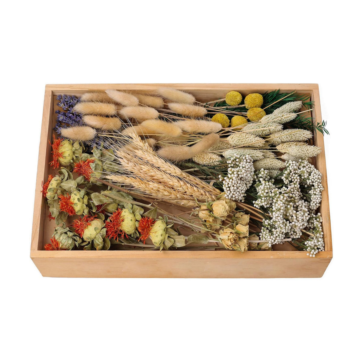 Dried Flower Box, Craft Pack, Mini Preserved Flower, Dry Flowers Epoxy Resin, Jewelry Craft, DIY Material, Candle Making. (Green)