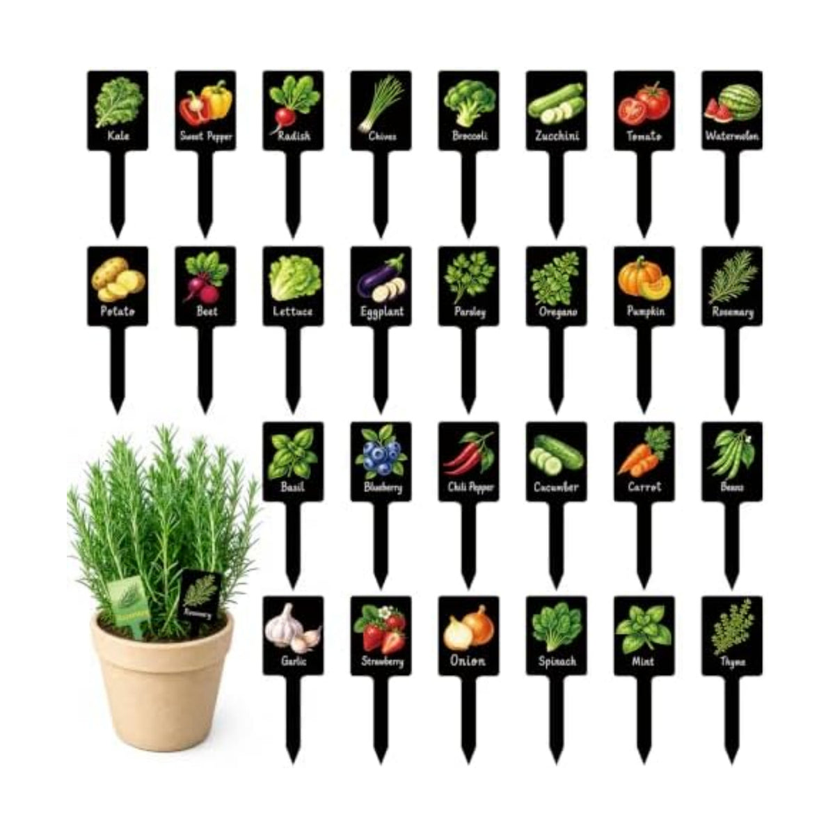 60PCS Plant Label Vegetable Herb Garden Marker, Color & Black Double-Sided