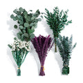 85 Pcs Mixed Eucalyptus & Lavender Bundle, 17" Dried Preserved Stems