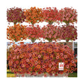Alupssuc 48 Bundles Artificial Fall Flowers, UV Resistant Faux Mums Porch