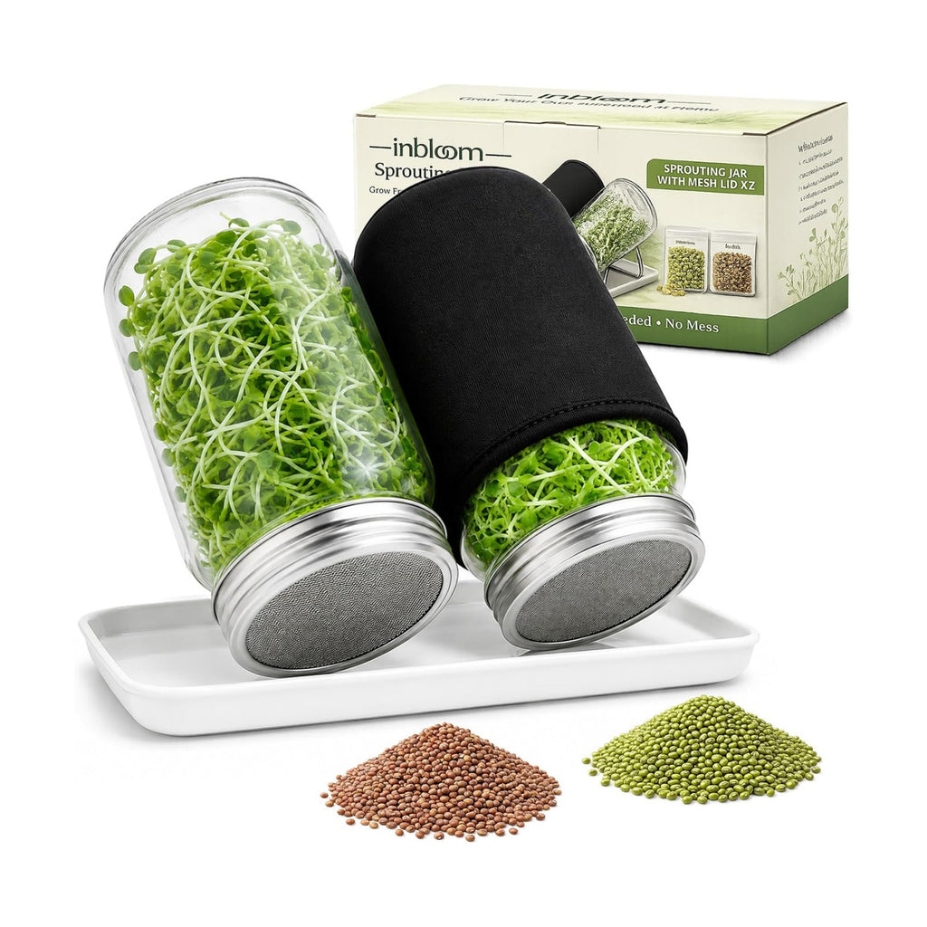 Seed Sprouting Jar Kit with Mung Beans & Radish Seeds, 2 Large Mouth Mason Jars with Stainless Steel Stand, Blackout