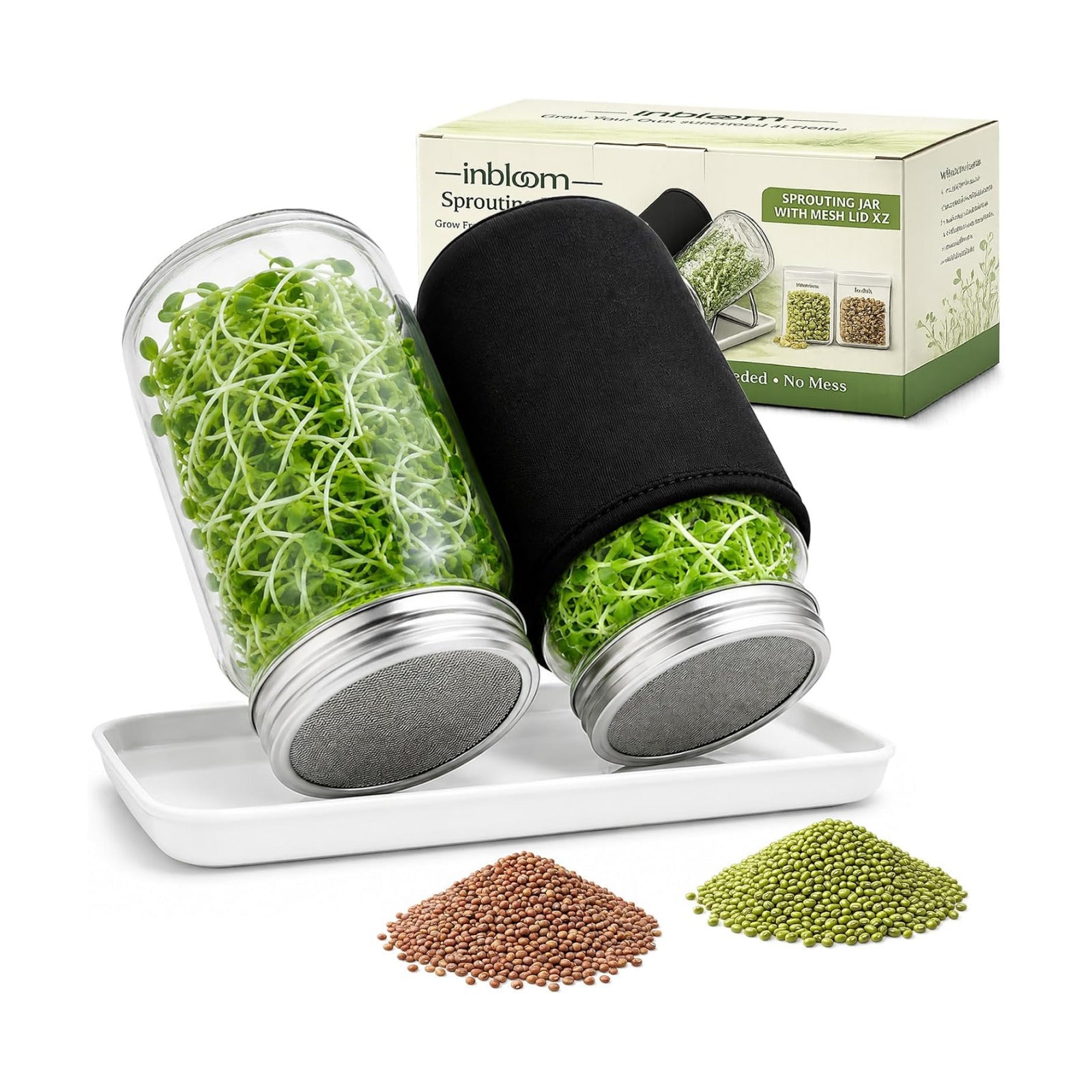 Seed Sprouting Jar Kit with Mung Beans & Radish Seeds, 2 Large Mouth Mason Jars with Stainless Steel Stand, Blackout
