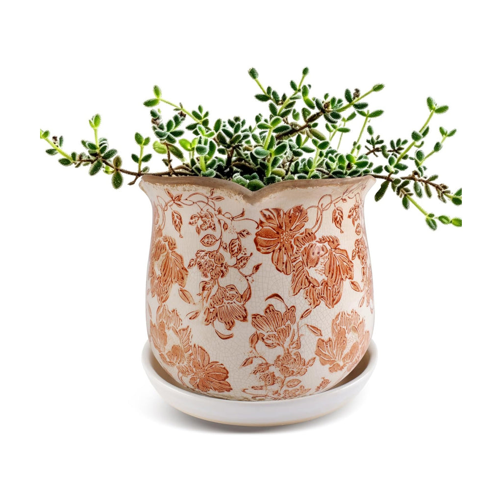 Ceramic-Planters-for-Indoor-Plants with Saucer, 6 inch Vintage Ice Crackle Glaze Plant Pots with Drainage Holes