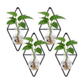 4 Pack Wall Hanging Glass Vase with Metal Frame, Wall Mounted Plant Propagation Station, Diamond Shape Hydroponic Glass