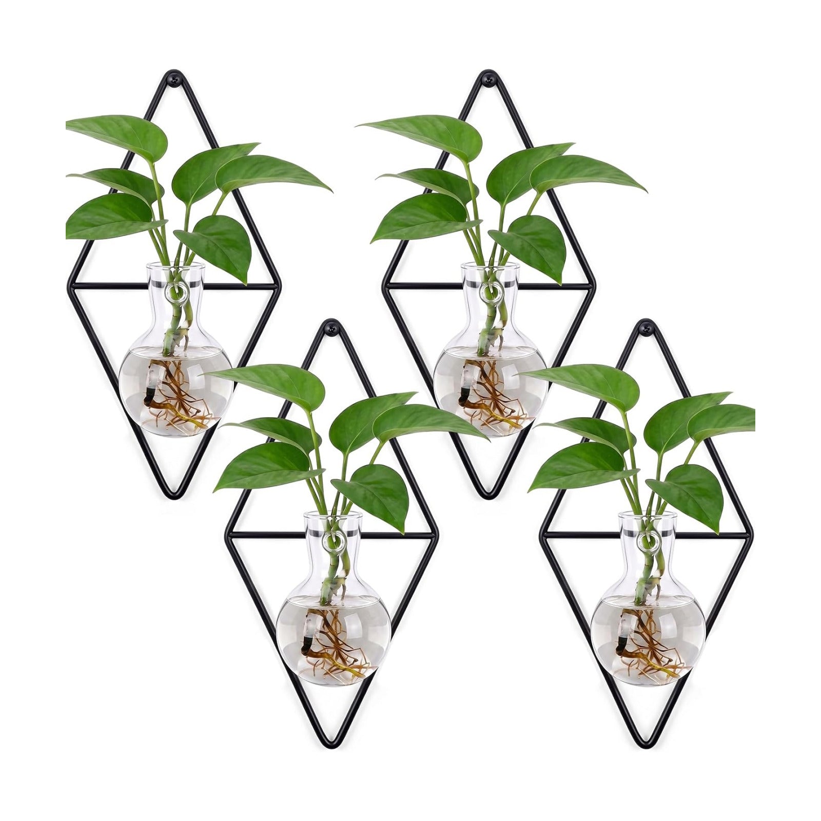 4 Pack Wall Hanging Glass Vase with Metal Frame, Wall Mounted Plant Propagation Station, Diamond Shape Hydroponic Glass