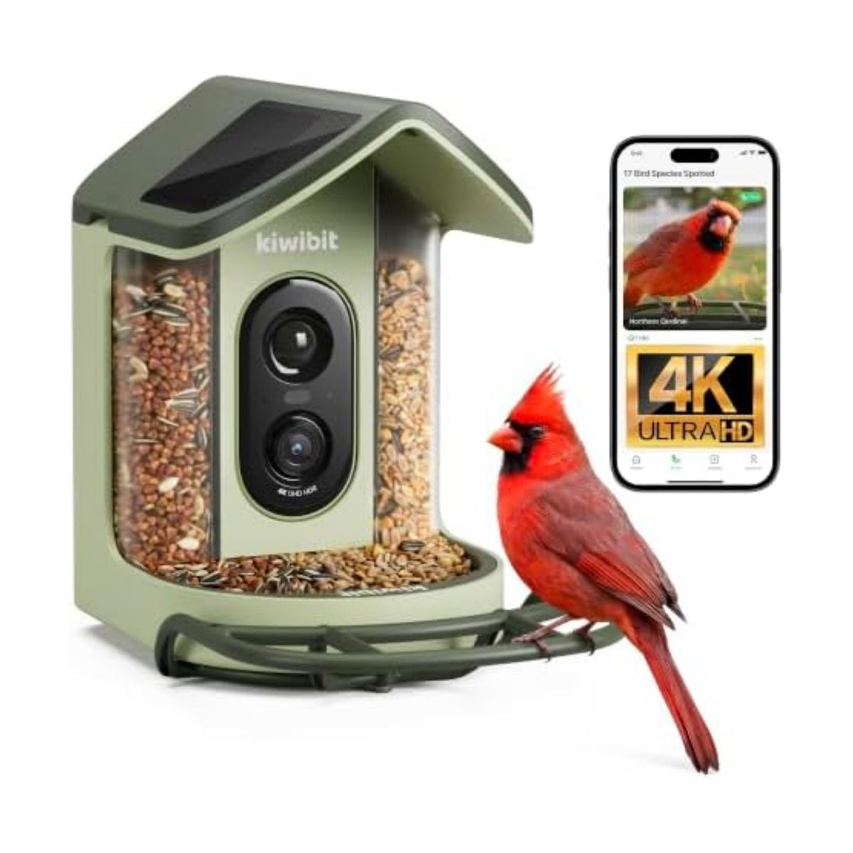 Kiwibit Solar Powered Smart Bird Feeder with Camera 2 Mini, 4K Live Stream