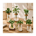 6 Pcs Plant Propagation Station Set, Glass Propagation Vases for Plants with Wooden Lids & Bamboo Stands, Hydroponic