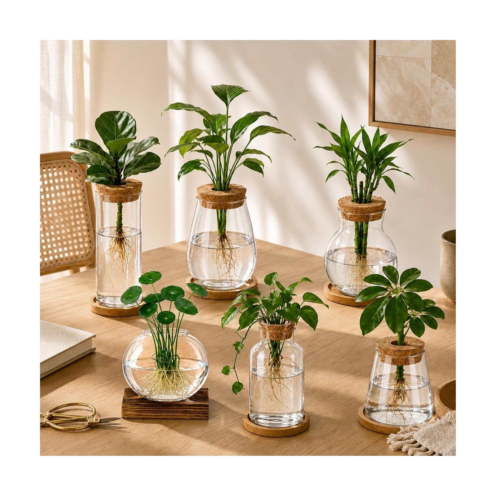 6 Pcs Plant Propagation Station Set, Glass Propagation Vases for Plants with Wooden Lids & Bamboo Stands, Hydroponic