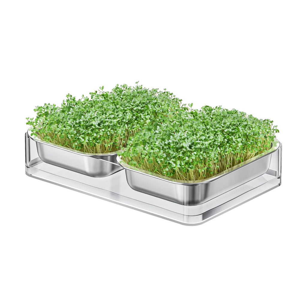 FANHAO Upgraded Visual Seed Sprouter Tray, Stainless Steel Soil-Free Cultivation Germination Tray with Acrylic Base