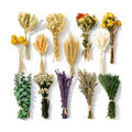150Pcs DIY Natural Dried Flower Set, Preserved Mini Flowers Bouquets
