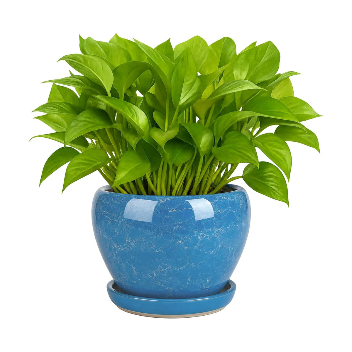 Deep Dream 6 Inch Plant Pots- Ceramic Planter Pot with Drainage Hole and Saucer, Round Flower Pot for Indoor Outdoor Succulent, Snake Plants and Cactus, Gemstone Blue