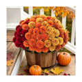 12-Pack Faux Fall Mums, 72 Blooms Artificial Flowers for Outdoor Decor