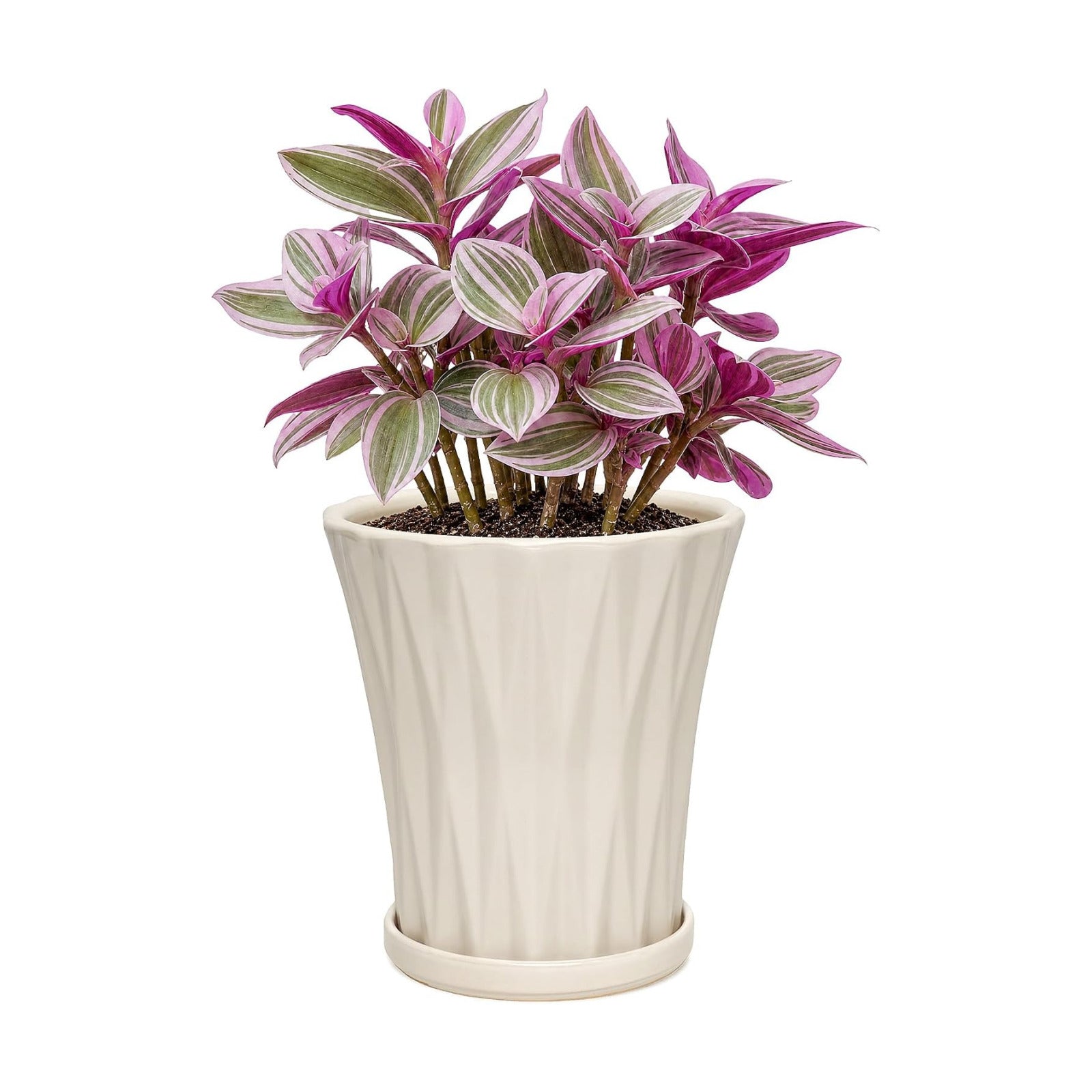 6.6 Inch Ceramic Planters with Drainage Hole and Saucer,Indoor Outdoor Large Flower Pots, Garden Pot for Plant Lovers