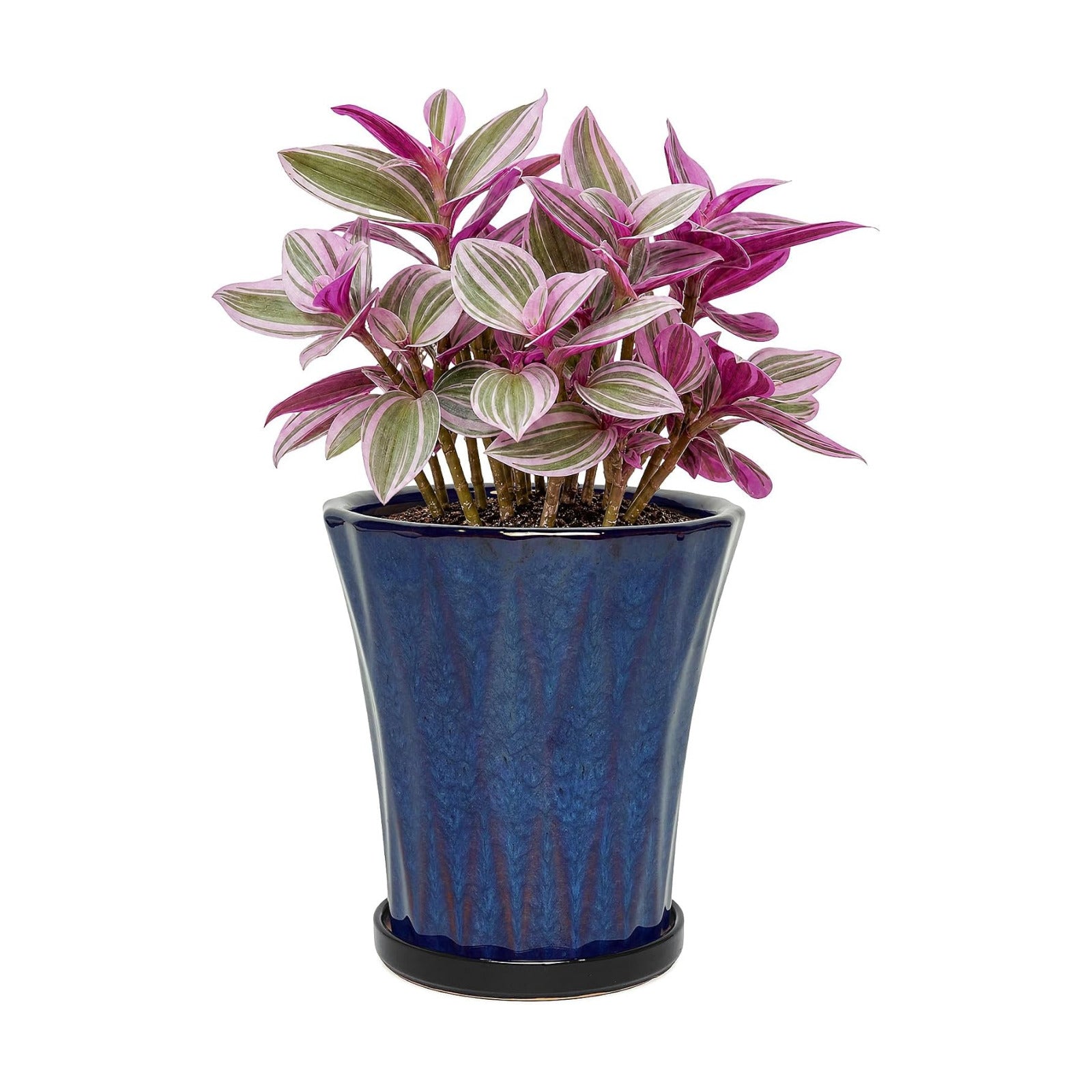 6.6 Inch Ceramic Planters with Drainage Hole and Saucer,Indoor Outdoor Large Flower Pots, Garden Pot for Plant Lovers