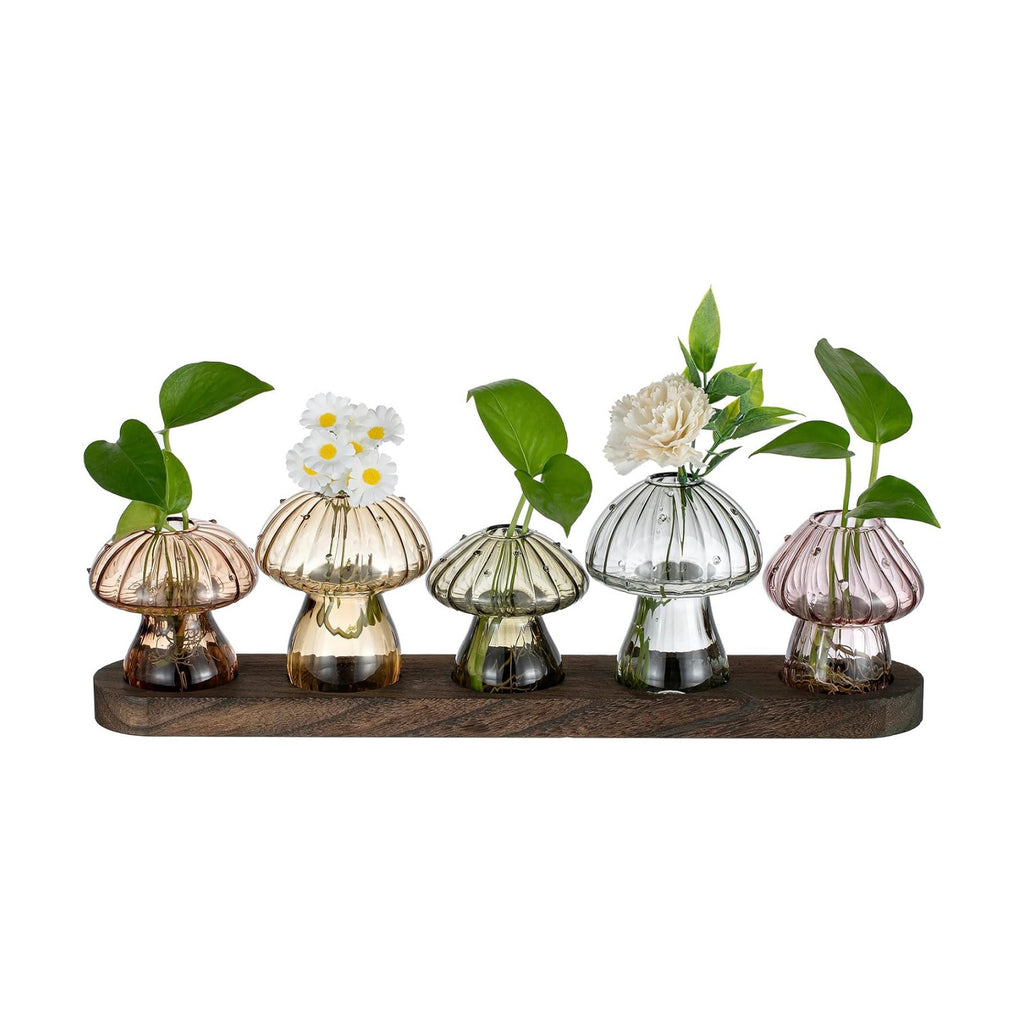 Glasseam 5 Pcs Mushroom Propagation Station: Glass Terrarium Jar for Plants | With Wood Stand, Fall Colored, Handmade