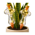 11 oz Plant Self Watering Globes Top Fill, Mushroom Plastic Self Watering Bulbs, LED Night Light Automatic Waterer with