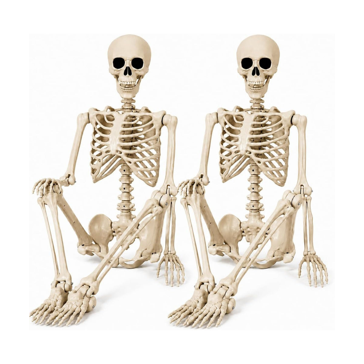 2 Pack 36" Halloween Skeleton - 3 ft Life Size Human Skeleton with Posable Joints - Spooky Scary Plastic Full Body Skeletons for Outdoor Halloween Decoration, Party Decor, Haunted House Props