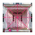 11.81 Ft Halloween Pink Spider Web Decoration, Cute Cobweb Wall Decor