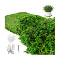 2.25LBS Artificial Fake Green Moss for Crafts Plants Indoor | Includes Gloves Tweezers， Dust Mask, Faux Moss for Potted