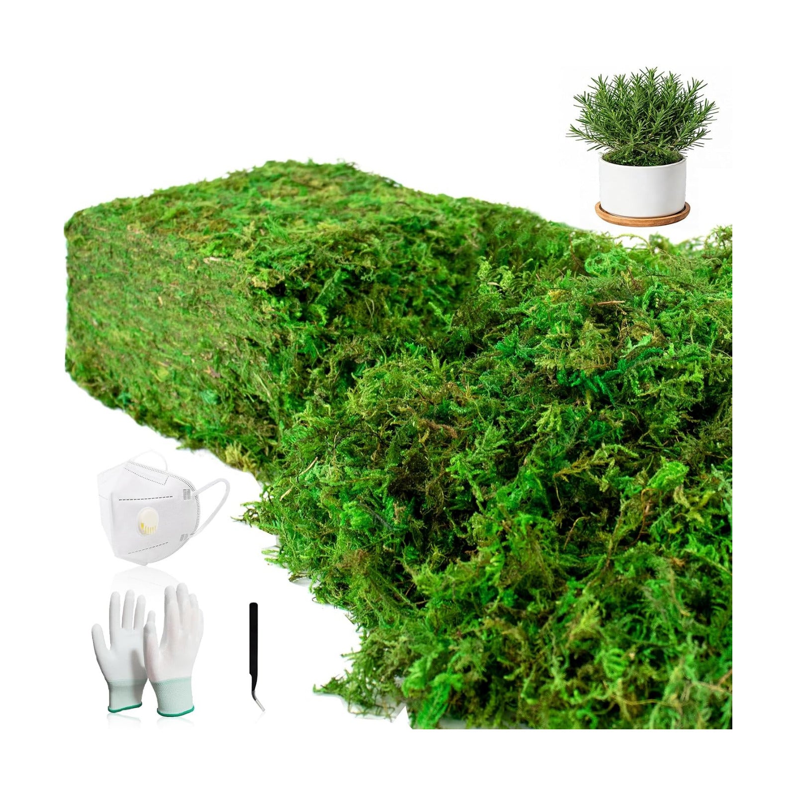 2.25LBS Artificial Fake Green Moss for Crafts Plants Indoor | Includes Gloves Tweezers， Dust Mask, Faux Moss for Potted