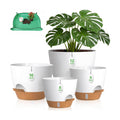 Large Self Watering Pots for Indoor Plants, 12/10/9/8 Inch White | Repotting Mat Included, Water Level Indicator, Deep