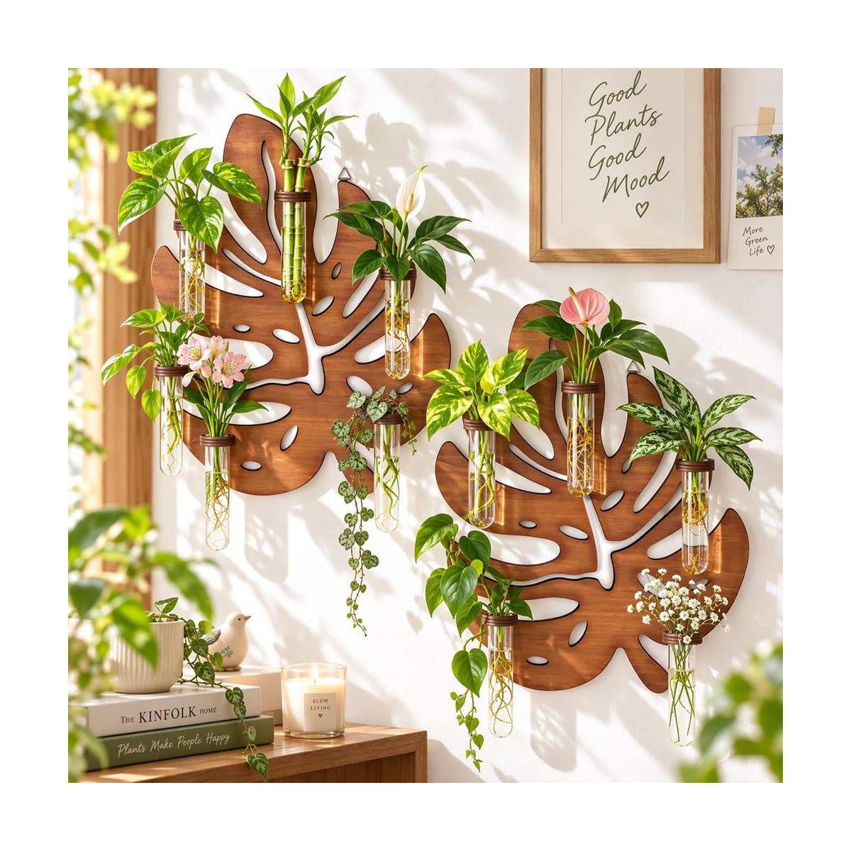 2 Pack Monstera Hanging Wall Planter, Plant Propagation Station